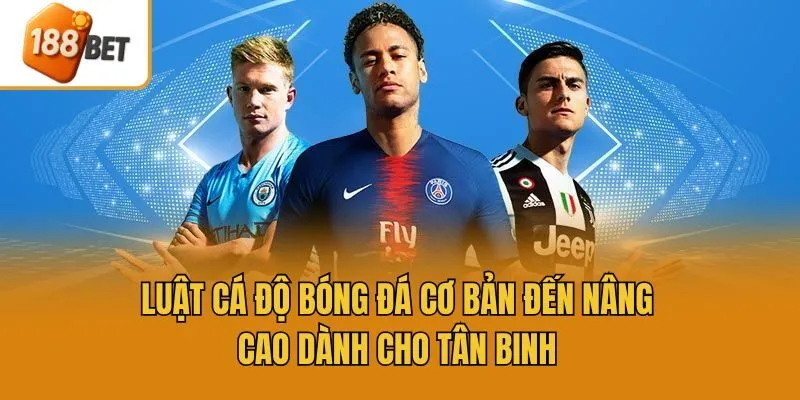 Luật Cá Độ Bóng Đá Cơ Bản Đến Nâng Cao Dành Cho Tân Binh